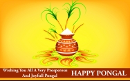 Pongal Wallpapers | Download Pongal WallPaper HD for Mobile & Desktop